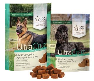 Dog Advanced Joint Care product group 394743 