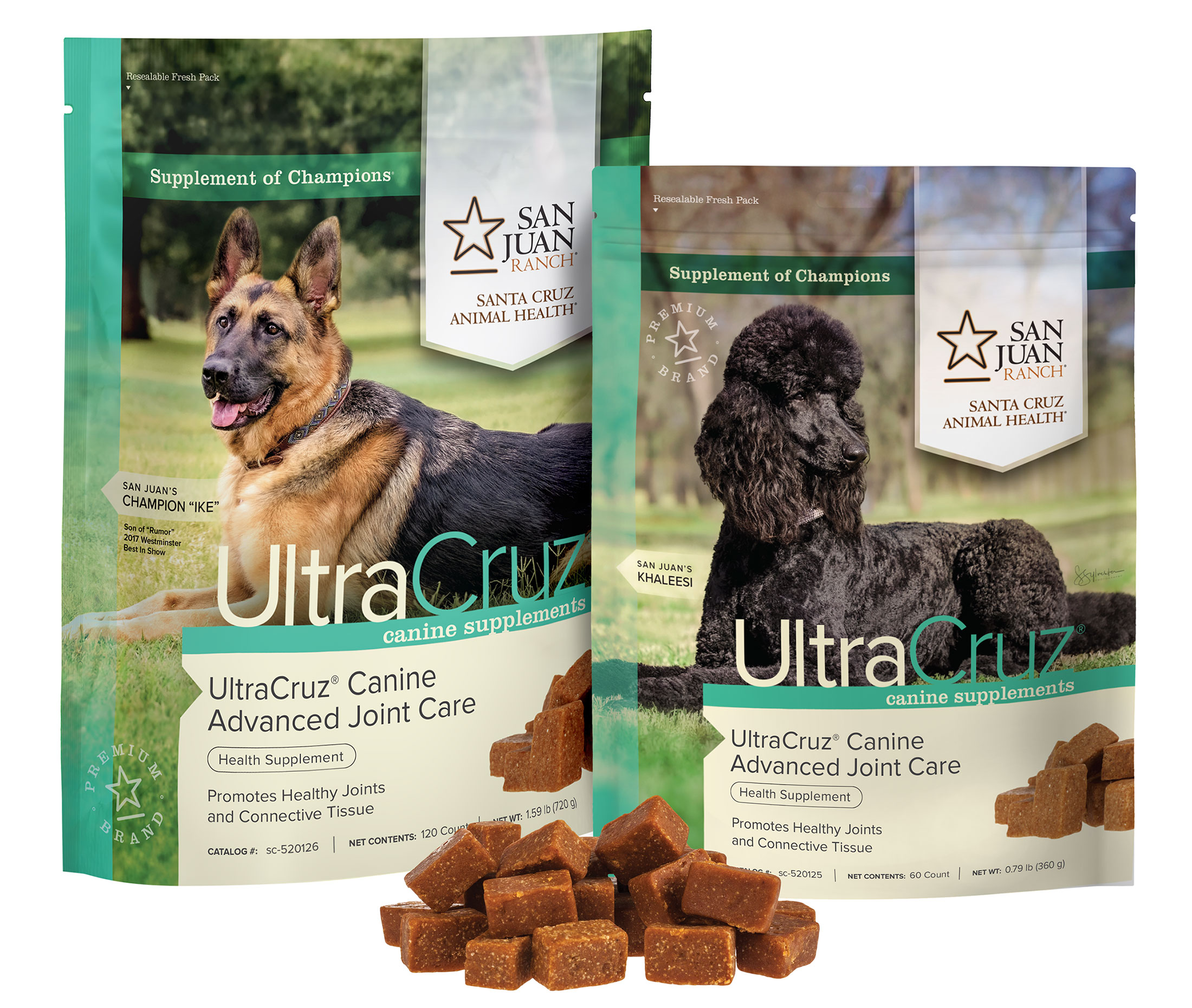 Joint Supplement for Dogs, Advanced – UltraCruz® | Santa Cruz