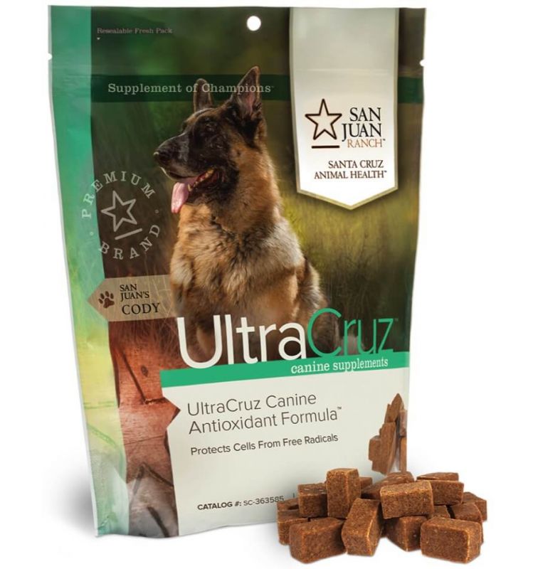 canine antioxidant vision supplement