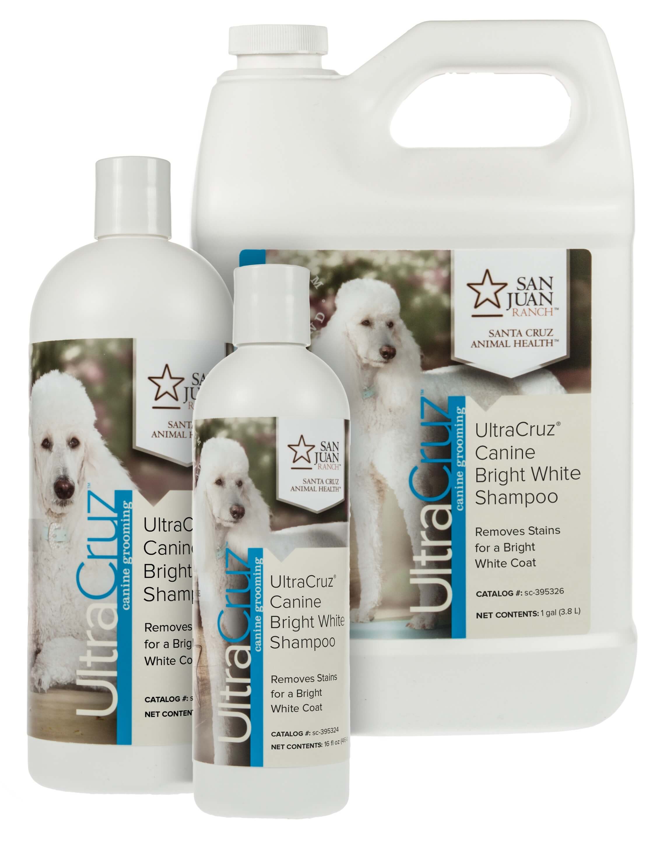 Bright white best sale dog shampoo