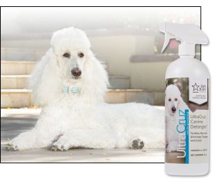 Leave in conditioner for poodles best sale