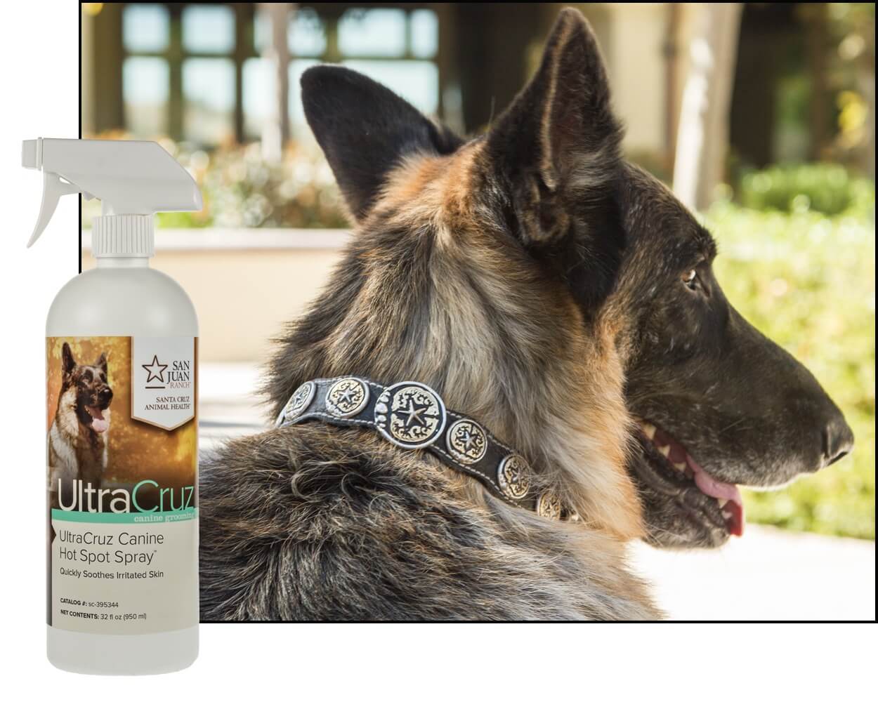 Spray for dog with hotsell irritated skin after grooming