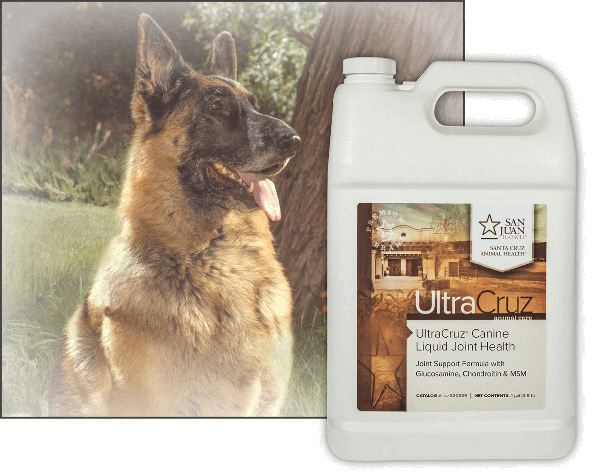 Shop Pharmacy for Sheep Rx Critical Care