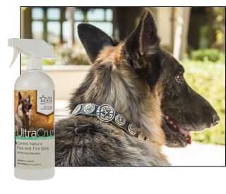 Flea and Tick Spray for Dogs – UltraCruz® | Santa Cruz Animal Health