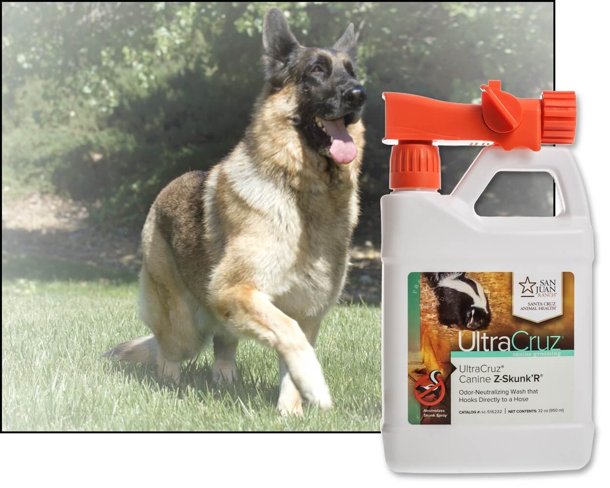 犬 ヒルズサイエンスダイエットライト小型犬用1．5kg: ヘルス