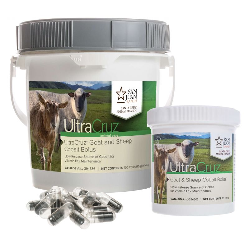 Goat and Sheep Cobalt Bolus – UltraCruz® | Santa Cruz Animal Health