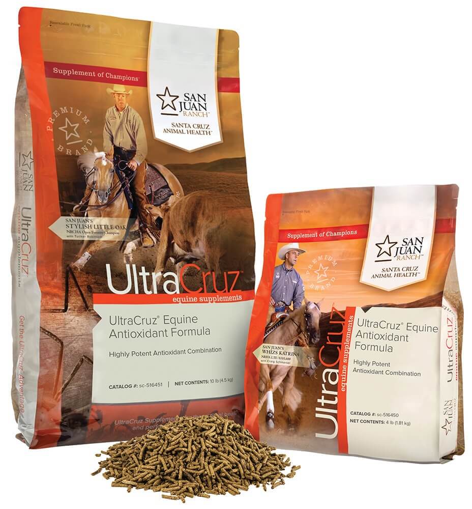 Horse Antioxidant Supplement UltraCruz Santa Cruz Animal