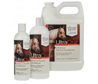 Horse Conditioner product group 385309 