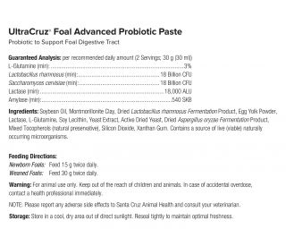 Equine Foal Kickstart Paste - Immune & Digestive Support For Newborn Foals (Day 1), 1 Tube