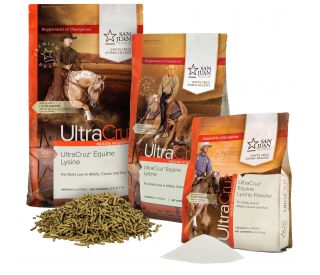 Horse Lysine product group 383592 