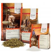 Horse Lysine product group 383592