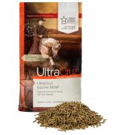 UltraCruz Equine MSM<sup>®</sup>: sc-516356...