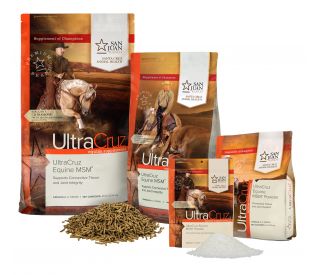 Horse MSM product group 389335 