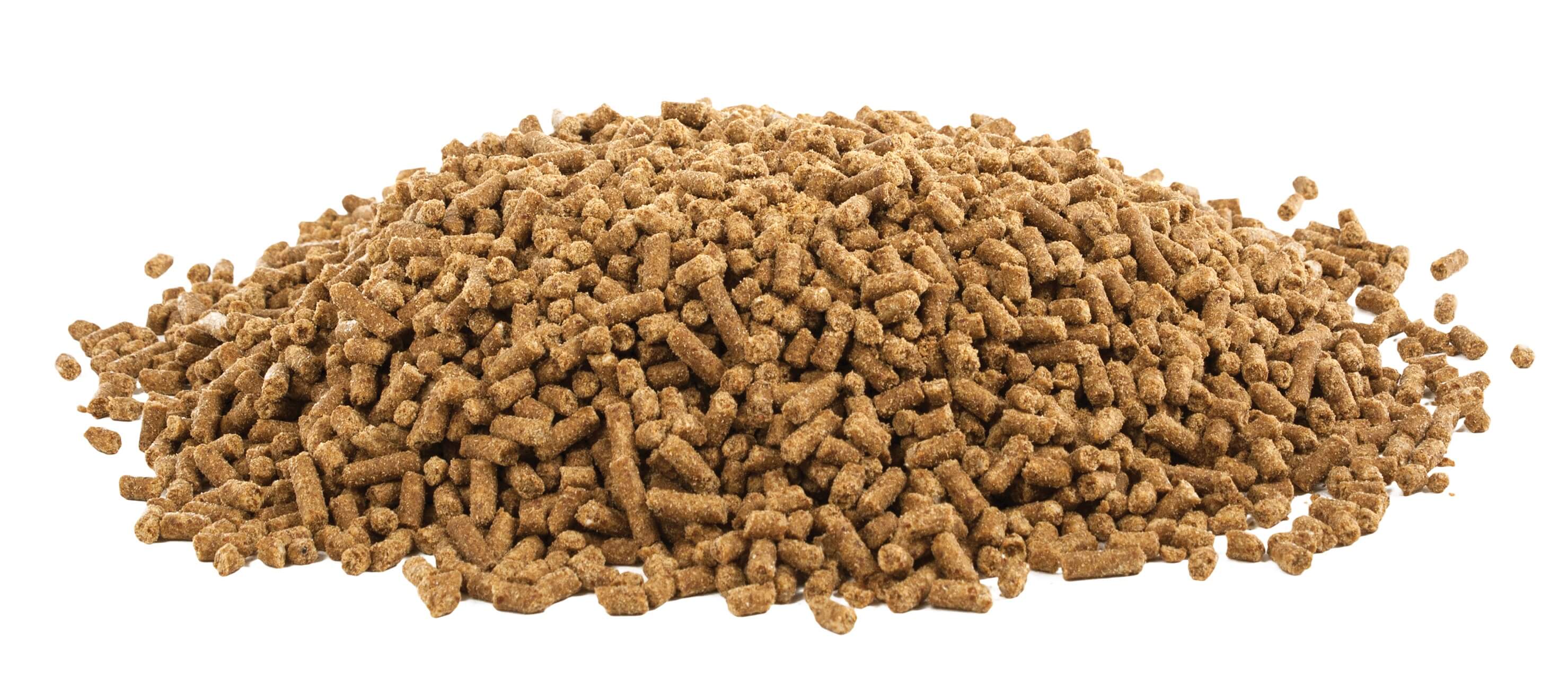 Shop Pharmacy for Sheep Rx Critical Care