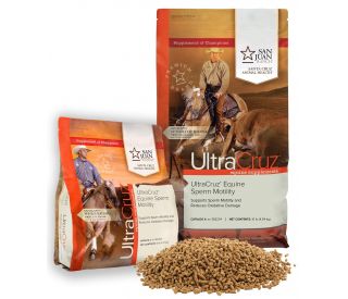 Horse Sperm Motility product group 378346 