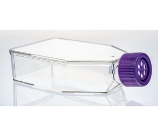 Cell Culture Flasks for Suspension Cells with Vent Caps