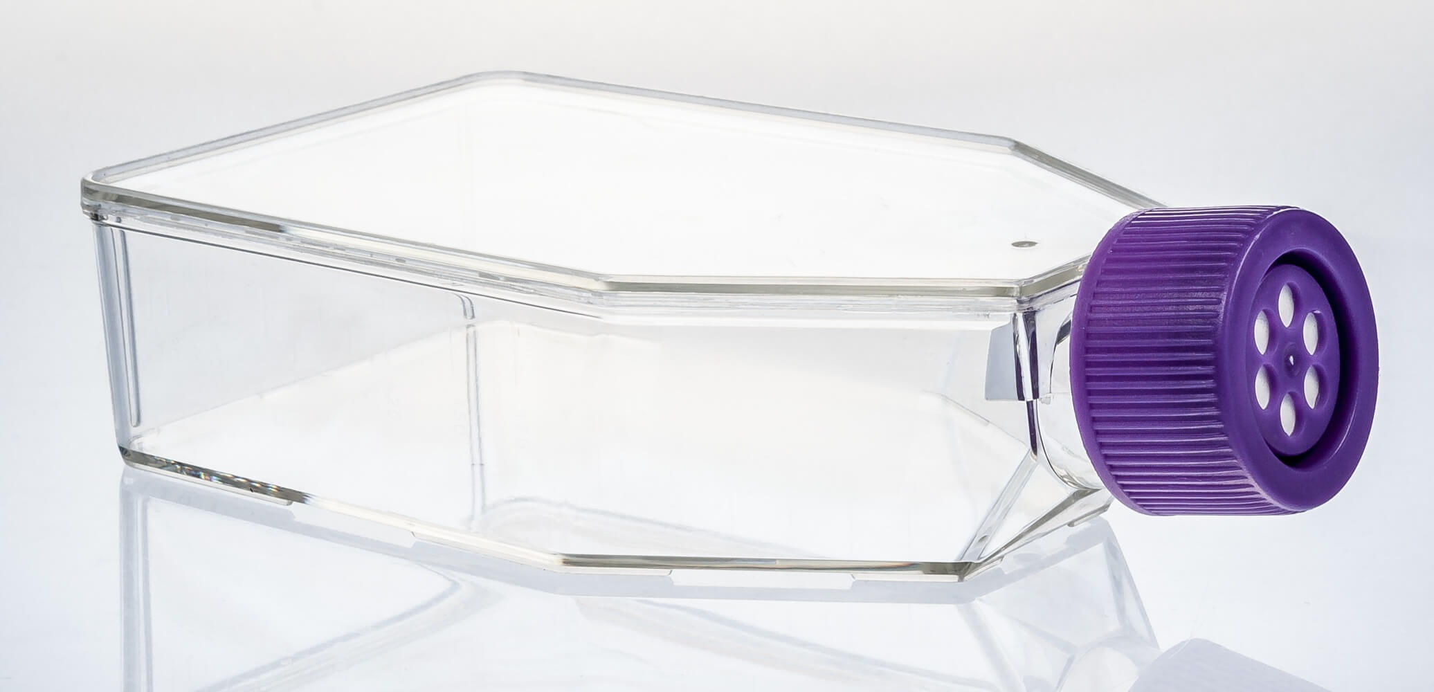 Shop Pharmacy for Sheep Rx Critical Care