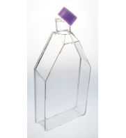 UltraCruz Flask, Tissue Culture, 182cm2, vent cap, case: sc-200264...