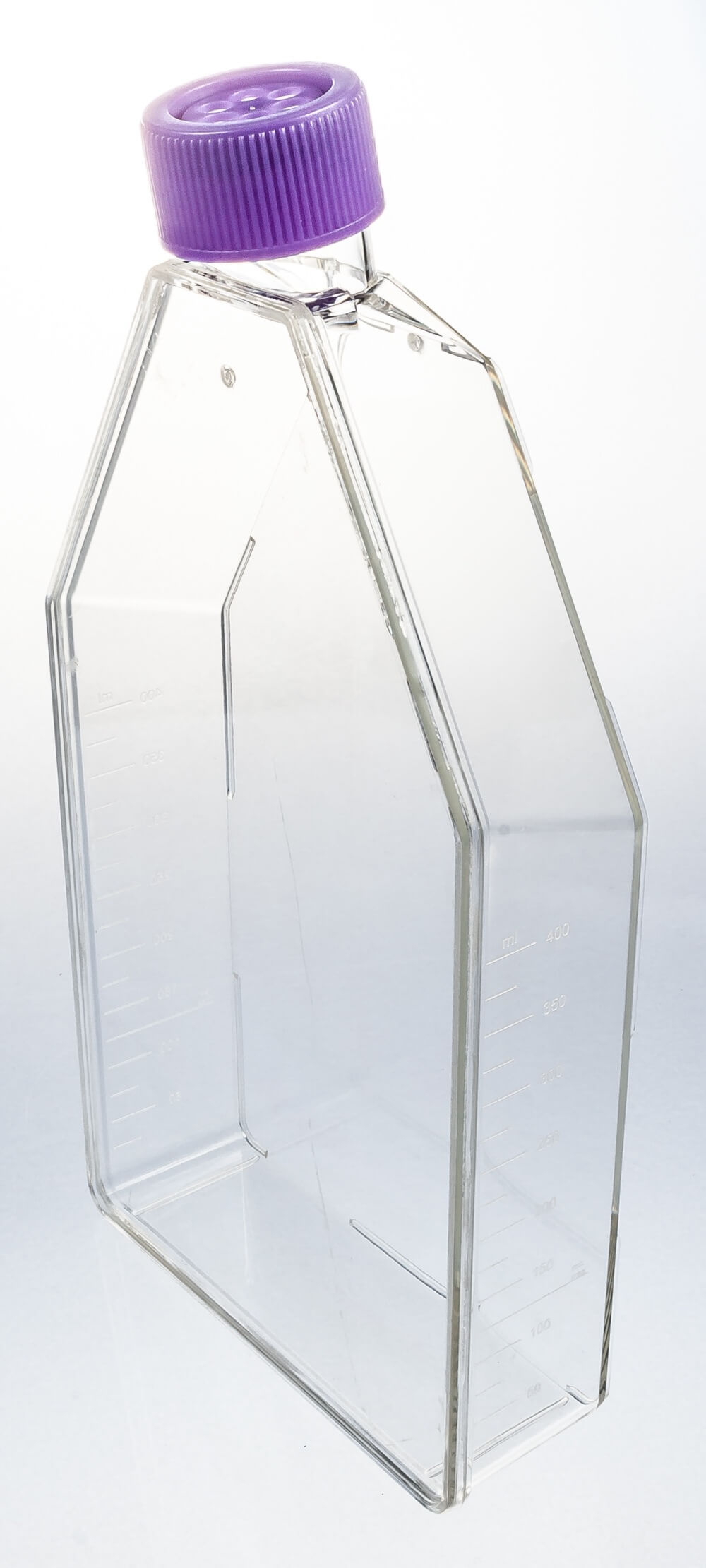 Cell Culture Flasks with Vented Caps – UltraCruz® | Santa Cruz
