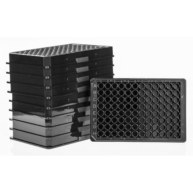 コブ形状 水晶 変り種（珍品）ヒマラヤ水晶を探してみました - 石の音ブログ