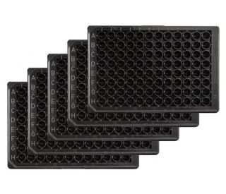 コブ形状 水晶 エメラルド入り水晶 123 アフガニスタン - 鉱物標本・隕石標本販売の