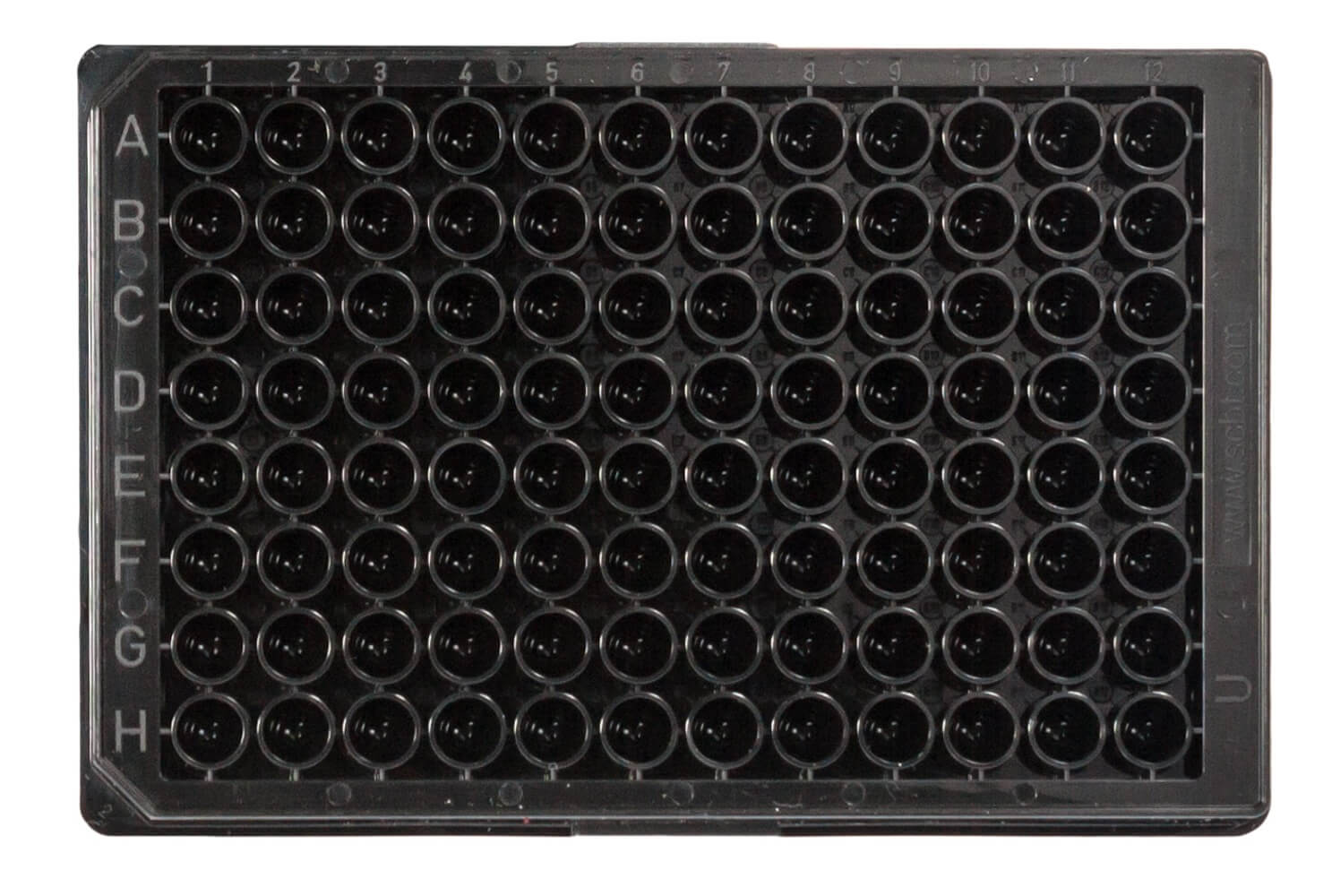 Shop Pharmacy for Sheep Rx Critical Care