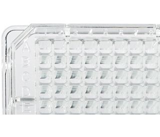High Binding Multiwell ELISA Microplates – UltraCruz® | Santa Cruz