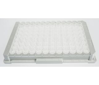 High Binding Multiwell ELISA Microplates – UltraCruz® | Santa Cruz