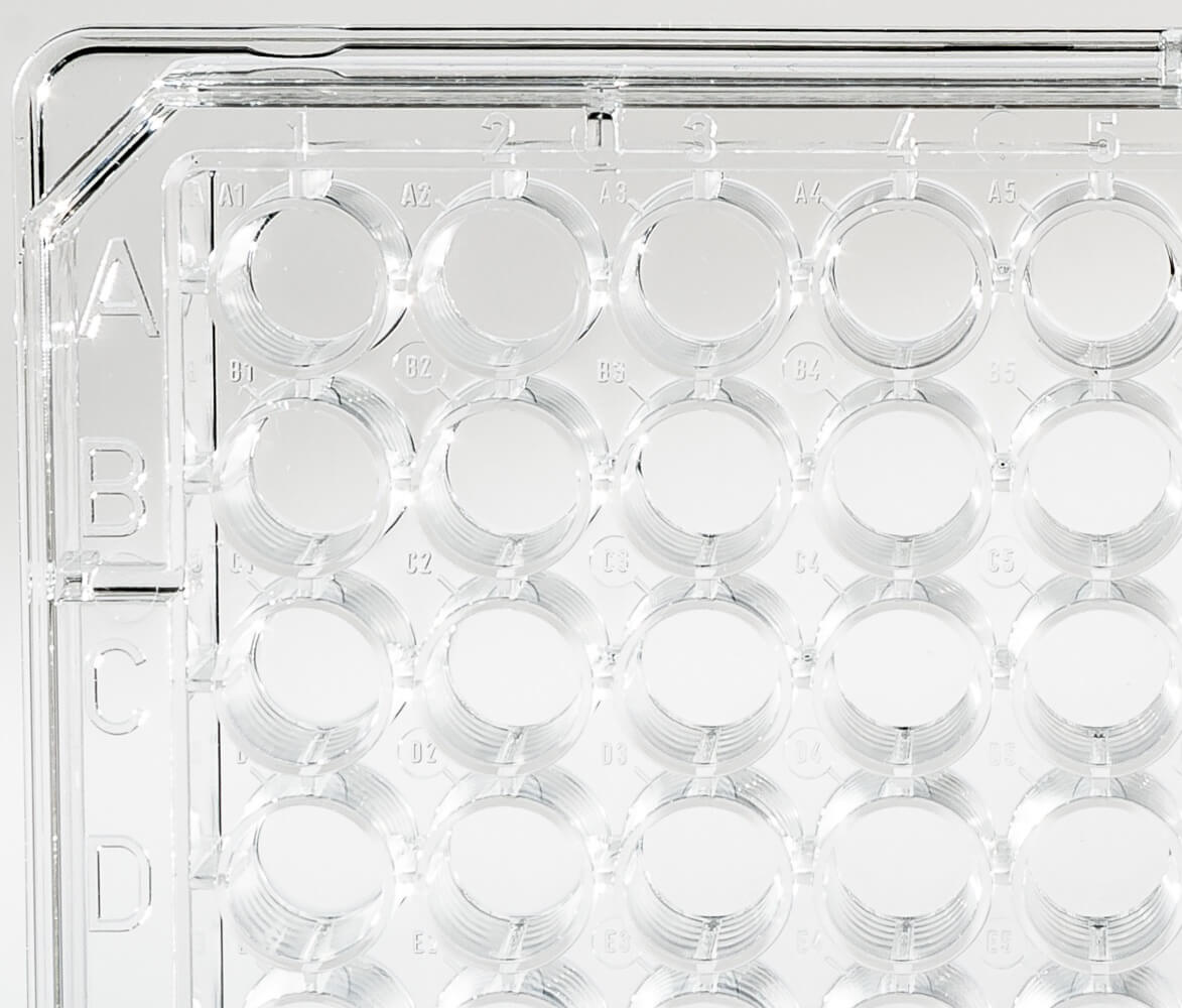 High Binding Multiwell ELISA Microplates – UltraCruz
