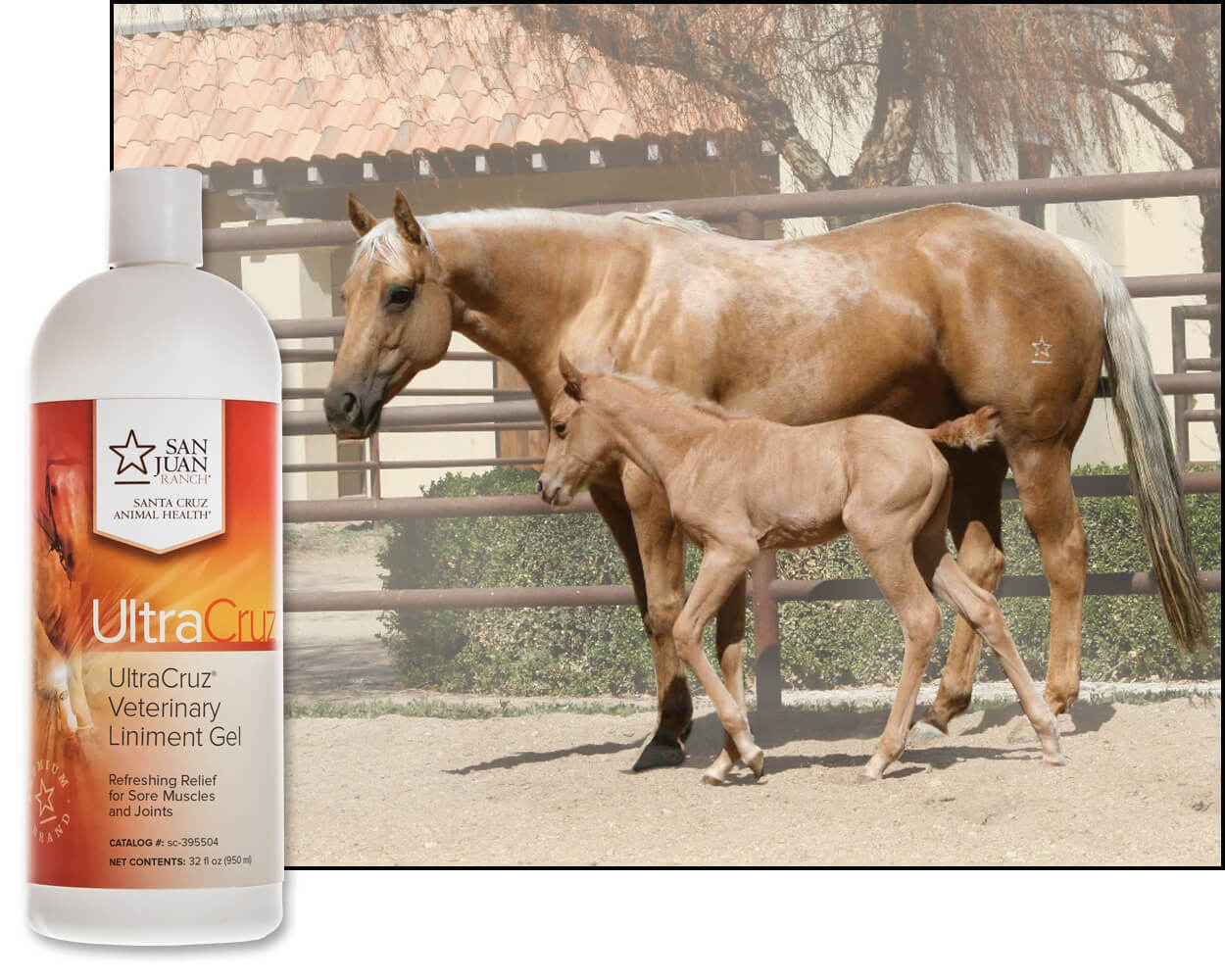 Shop Pharmacy for Sheep Rx Critical Care