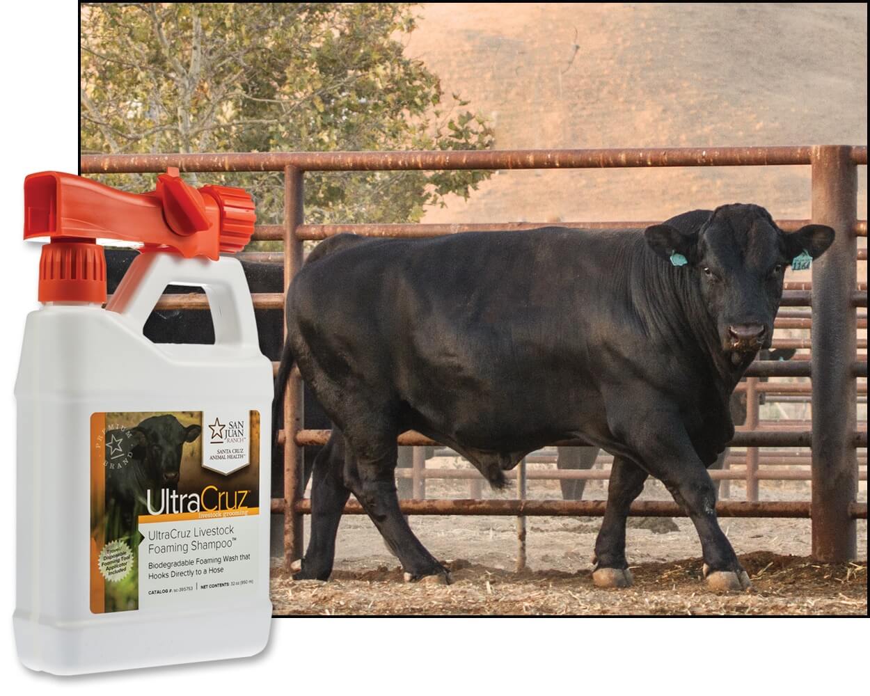 Shop Pharmacy for Sheep Rx Critical Care