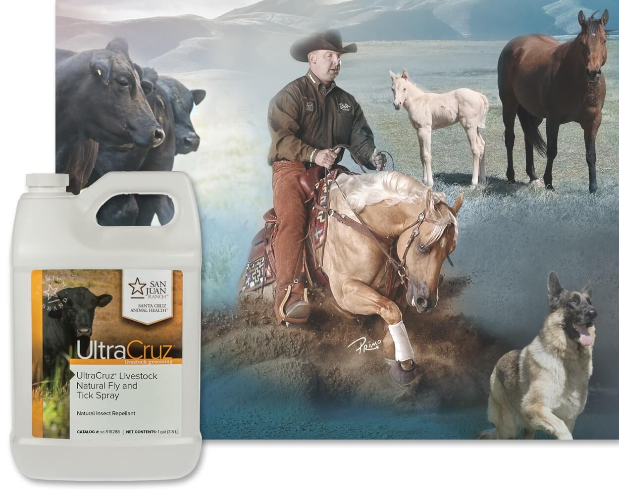 Shop Pharmacy for Sheep Rx Critical Care