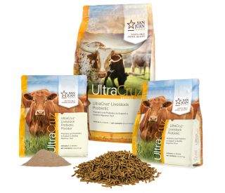 Brush, Dual Fiber for Horses, Cattle, Goats, Sheep and Pigs – UltraCruz® |  Santa Cruz Animal Health
