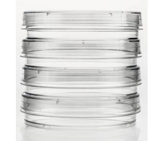 Sterilizzatore Per Piastre Petri In Acciaio Inox - Porta 10 Piatti Da 90mm - Foto 7