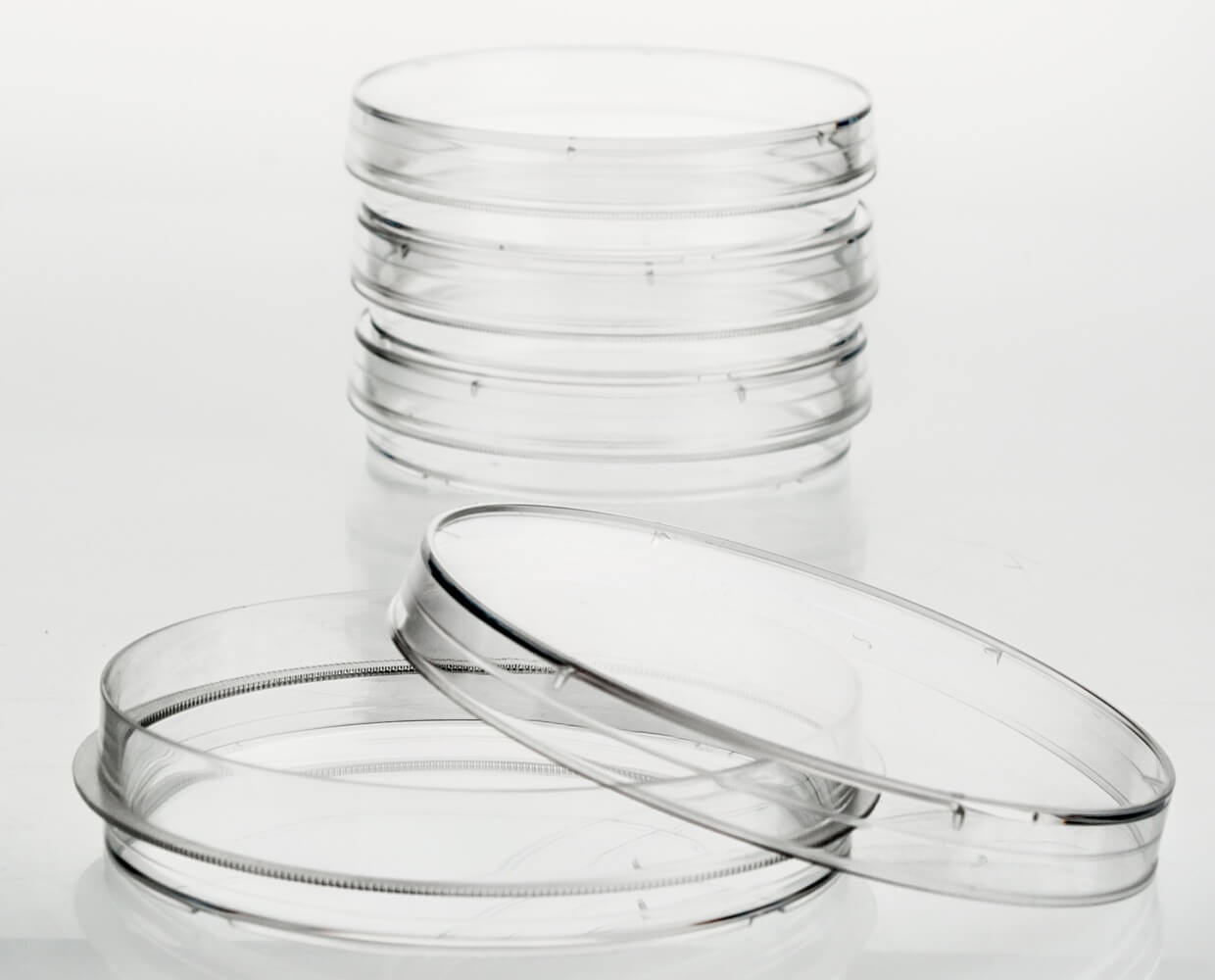 Petri Dish, Untreated - UltraCruz® | Santa Cruz Animal Health