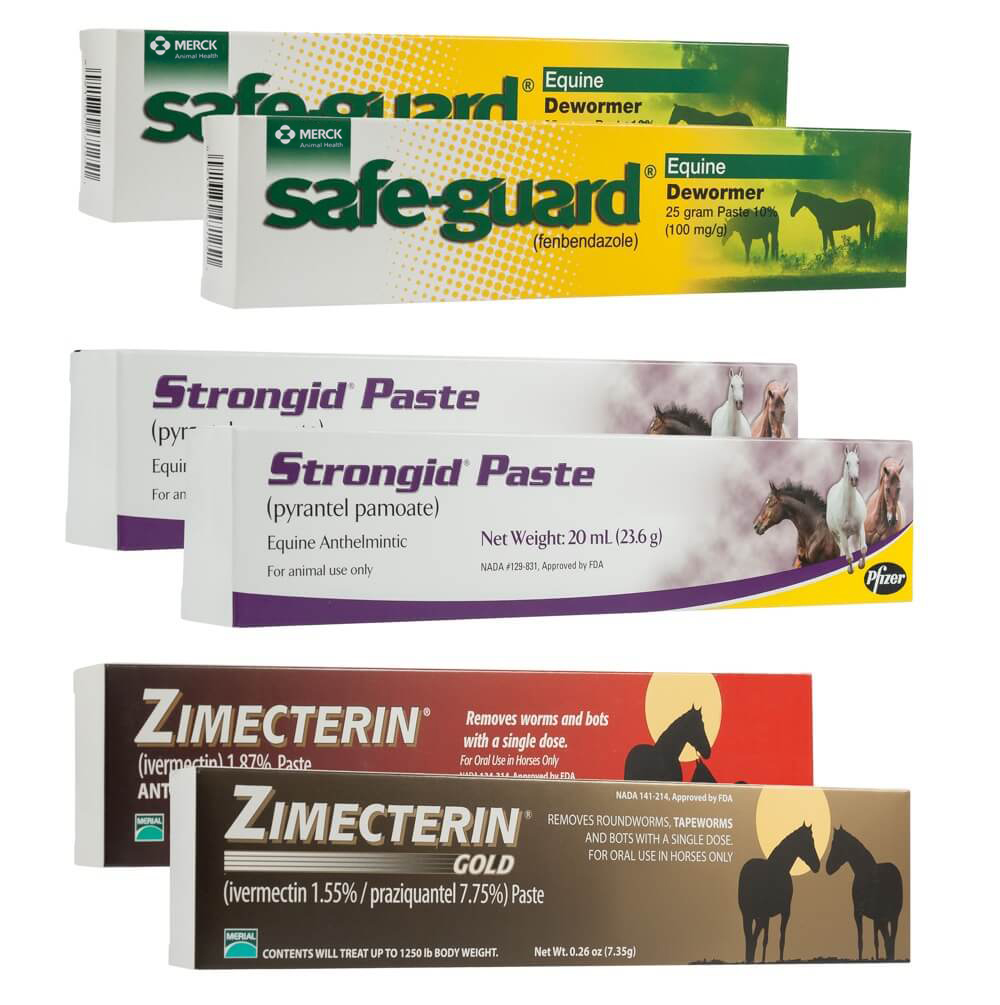 UltraCruz® Premium OneYear Equine Dewormer Pack for Horses Santa