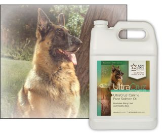 Salmon oil 2025 for german shepherd