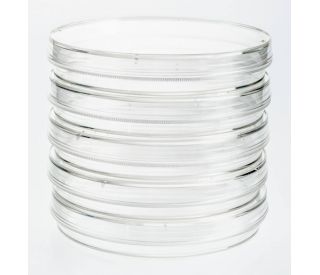 UltraCruz<sup>&reg;</sup> Tissue Culture Dish, 100mm: sc-200286 showing easy stackability for convenient lab storage. 