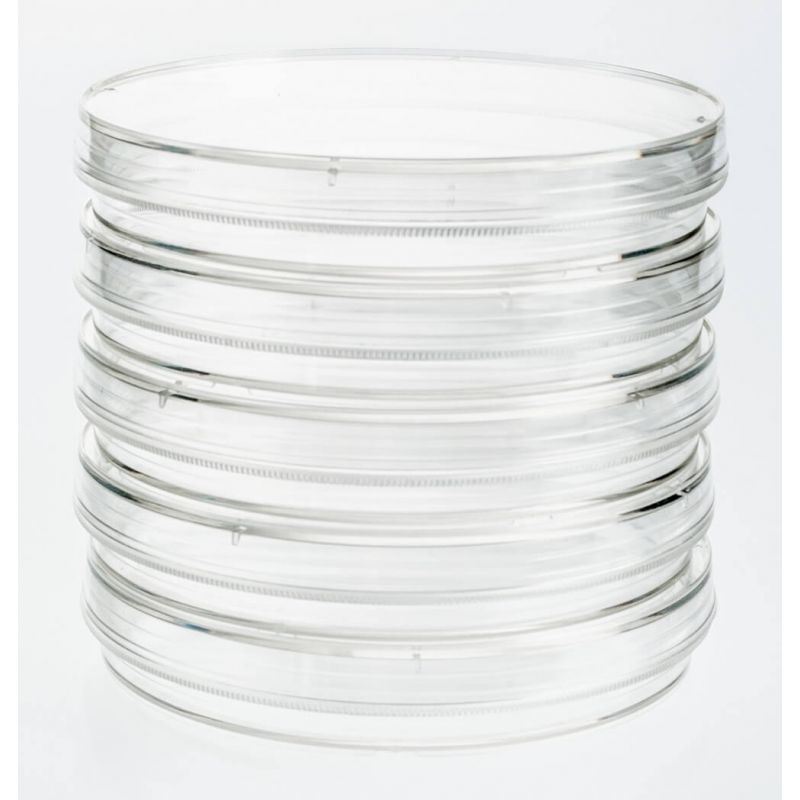 Tissue Culture Treated Plates UltraCruz® Santa Cruz Animal Health