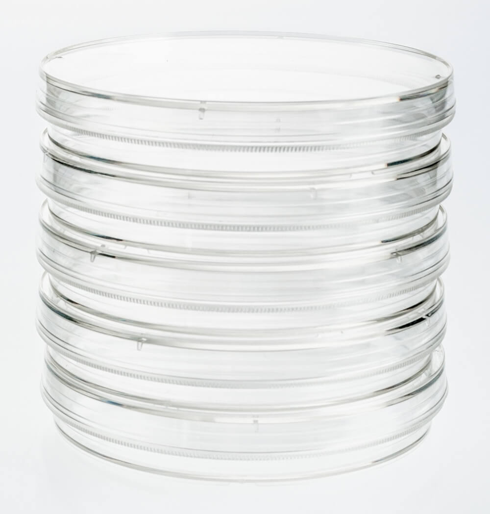 Amazon.com: Villeroy & Boch Manufacture Rock Universal Coupe