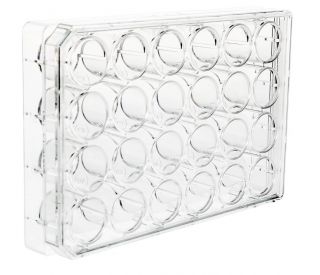 ultracruz-tissue-culture-