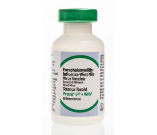 Vetera 4 XP + WNV, 10 ds packaging 356484 