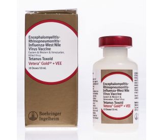 Vetera Gold XP + VEE, 10 ds packaging 332031 