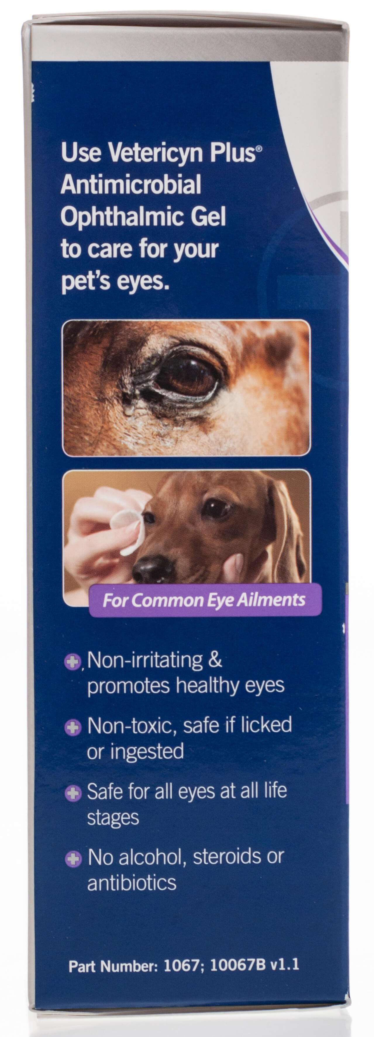 Antimicrobial ophthalmic gel for dogs best sale