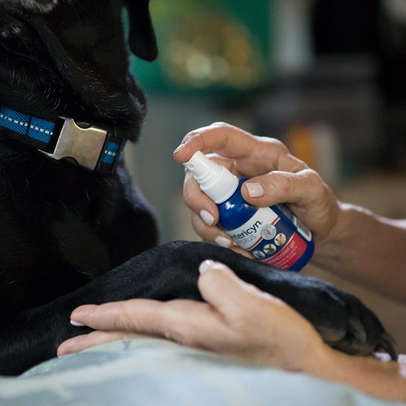 Vetericyn spray for dogs hotsell