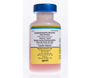 West Nile Innovator + EWT, 10 ds packaging 331545 