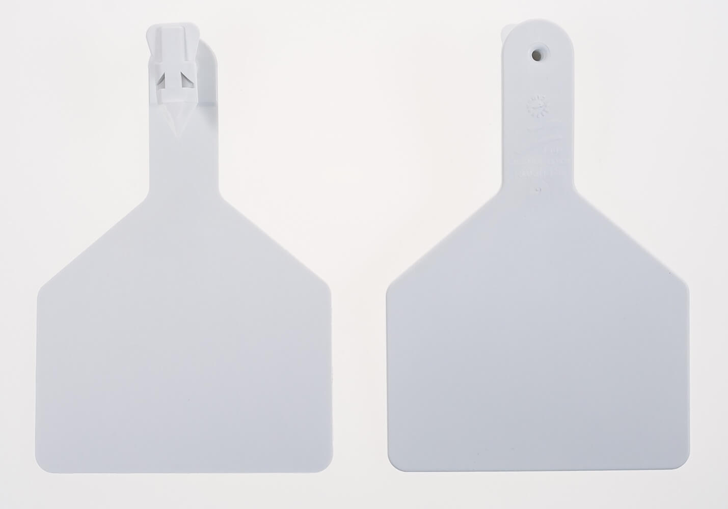 Tag さませんよう Z Tag Blank Cow ID Tag | Santa Cruz Animal Health
