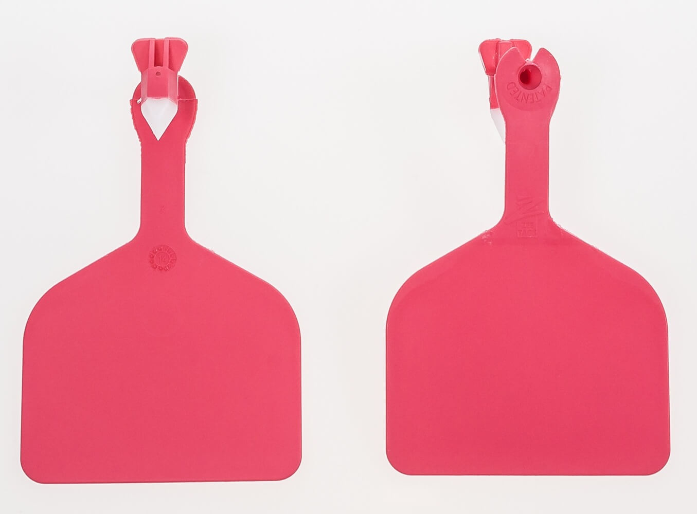 z-tag-blank-feedlot-id-tag-